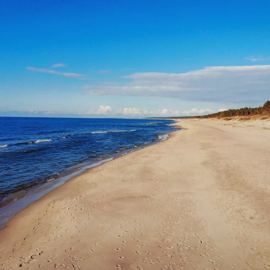 Krynica Morska plaża